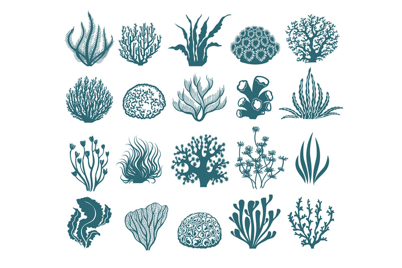 seaweeds-and-coral-silhouettes