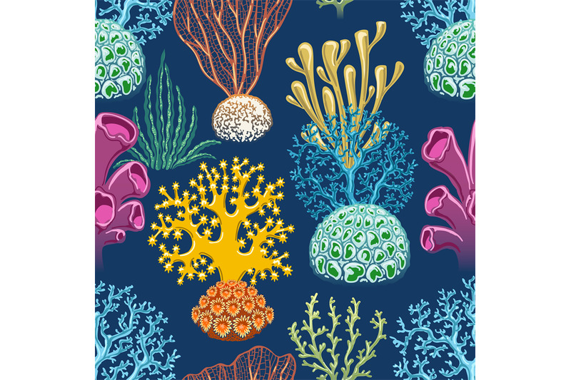 seaweeds-colorful-background