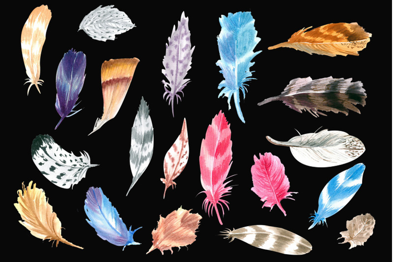 watercolor-feathers