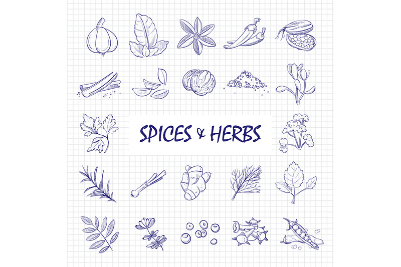 hand-drawn-spices-and-herbs-big-set-on-notebook-page