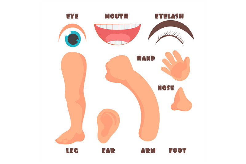 cartoon-baby-body-parts-with-english-vocabulary-vector-set