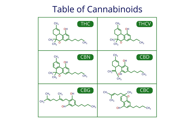 cannabis-skeletal-cbd-formula-marijuana-molecules-vector-set