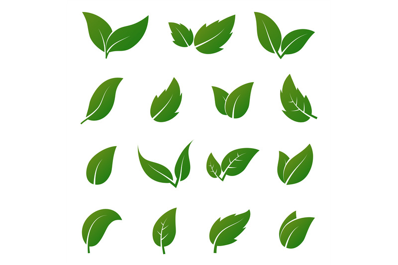 green-leaf-vector-icons-spring-leaves-ecology-symbols