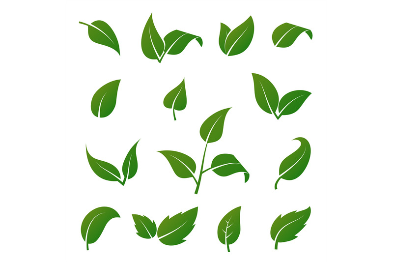 green-tree-and-plant-leaves-vector-icons-isolated-on-white-background