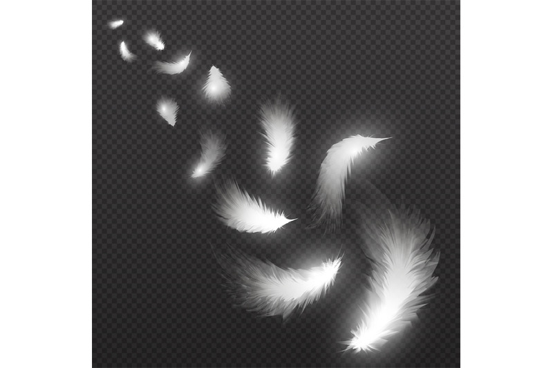 flying-light-swan-feathers-plume-on-black-background-vector-illustrati