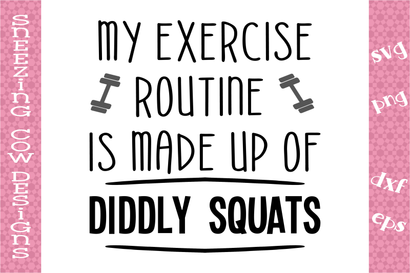 my-exercise-routine-is-made-up-of-diddly-squats