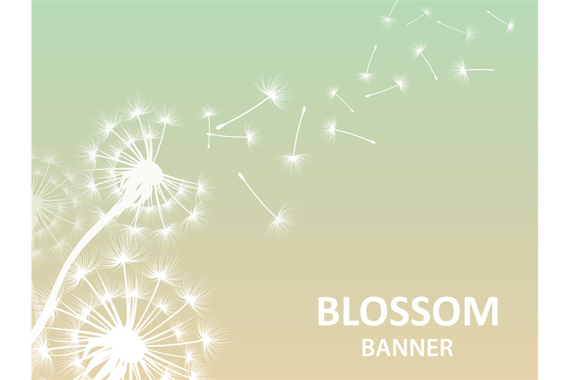 blossom-banner-background-with-dandelion-white-silhouette