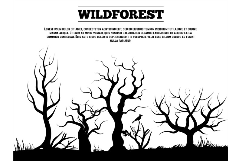 black-wild-old-forest-landscape-background