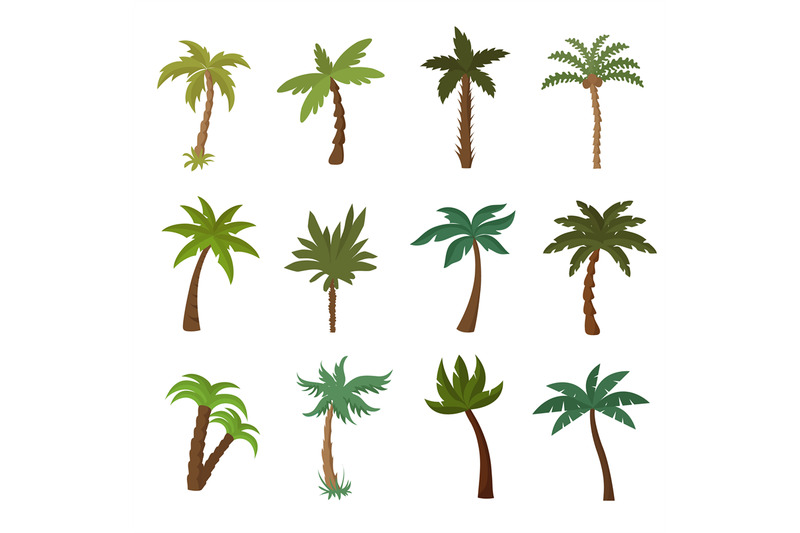 california-palm-trees-summer-tropical-plant-vector-set