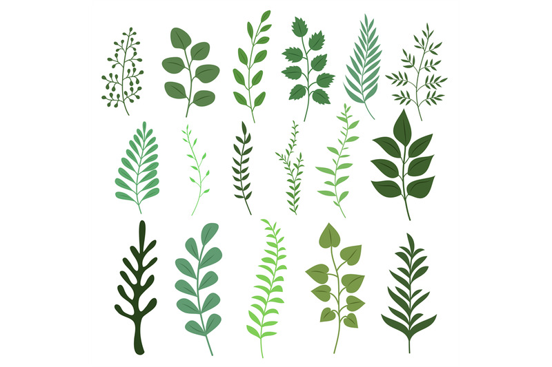 plant-branch-with-green-garden-leaves-vector-set