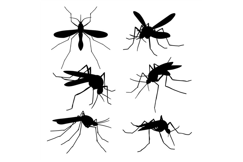 closeup-mosquito-silhouettes-isolated-flying-macro-mosquitoes-vector