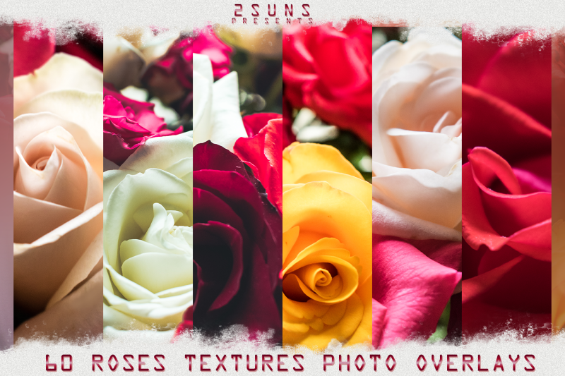 digital-flower-backdrop-flower-overlay-photoshop-overlay-field