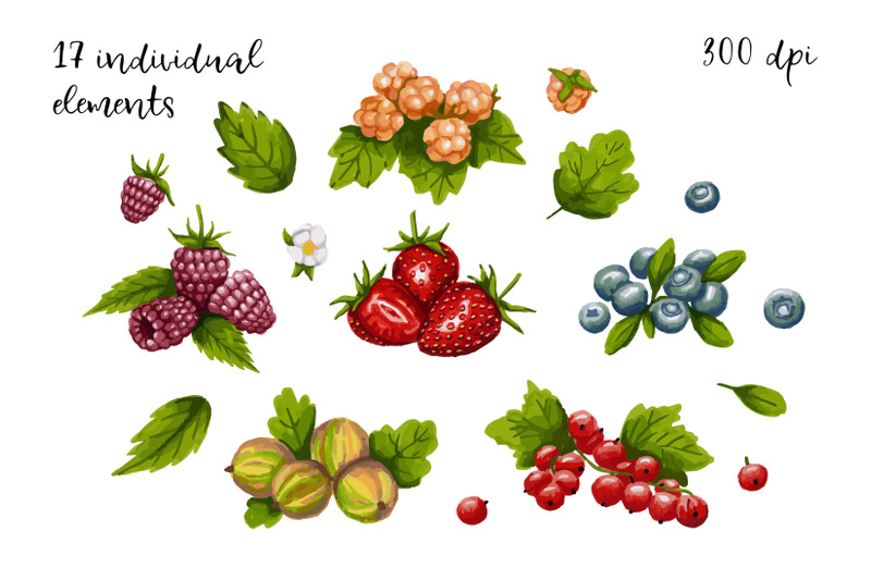 berries-set