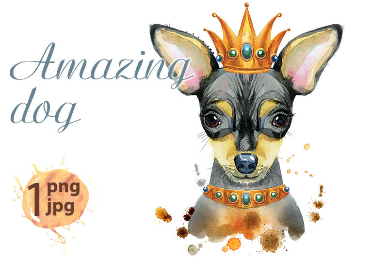 watercolor-portrait-of-toy-terrier-with-crown-on-his-head