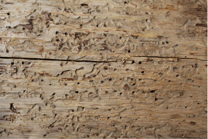 wood-background-rustic-timber
