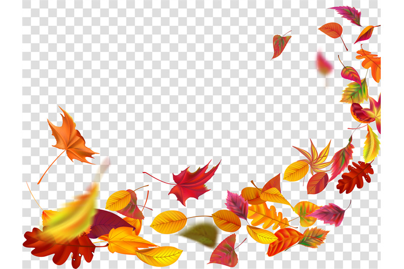 autumn-falling-leaves-leaf-fall-wind-rises-autumnal-foliage-and-yell