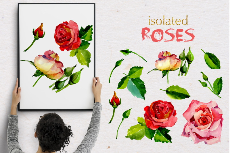 roses-watercolor-set-hand-painted-free-commercial-use-personal-use