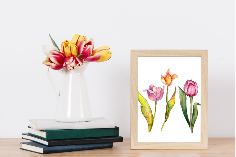tulips-watercolor-clipart-digital-flowers-clipart-hand-painted-fre