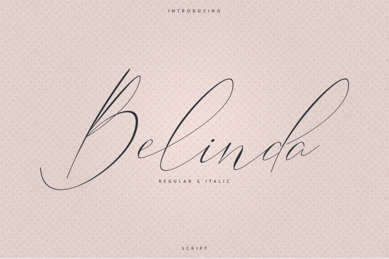 Signature Font Collection 15in1 By Vpcreativeshop Thehungryjpeg Com