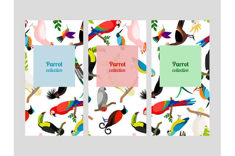 parrot-flyers-collection-with-birds-patterns