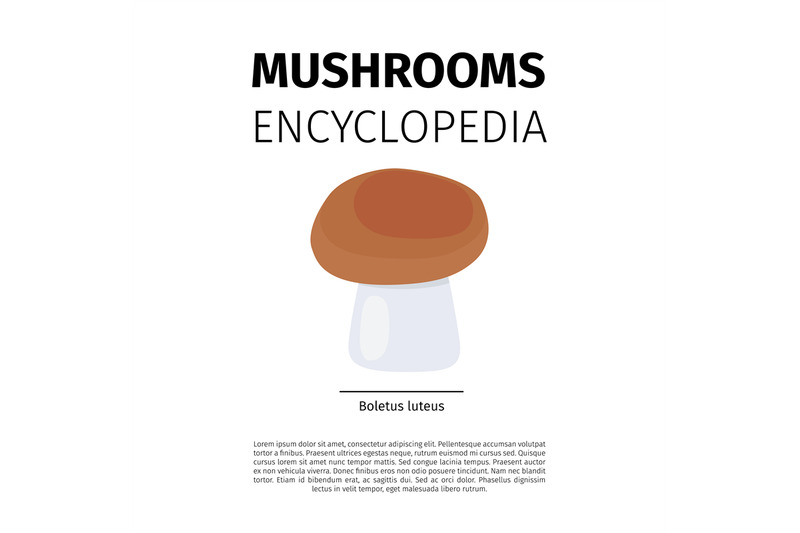 boletus-luteus-mushroom