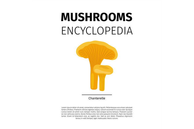 chanterelle-mushroom-illustration