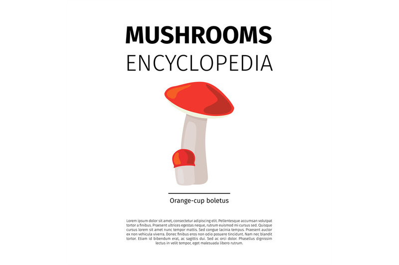 orange-cup-boletus-mushroom