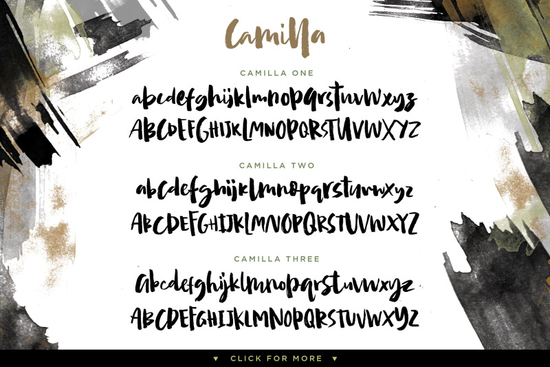 camilla-textured-brush-font-3-font