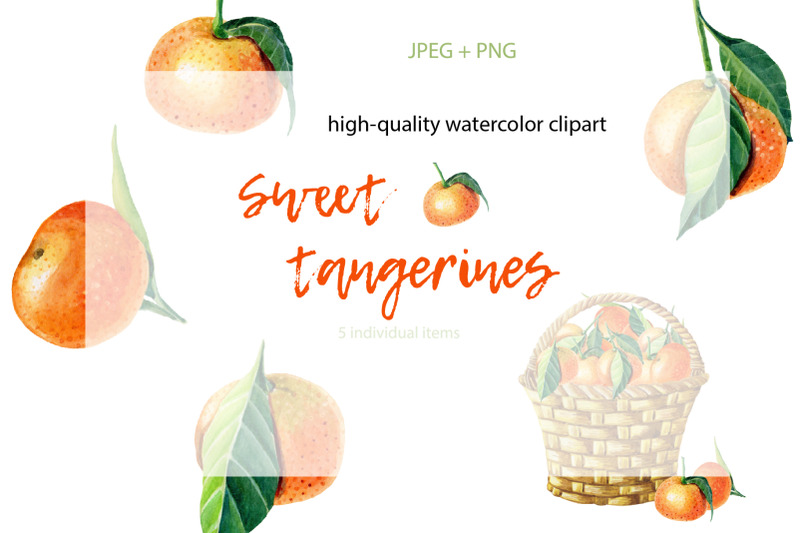 sweet-tangerines-watercolor-clip-art