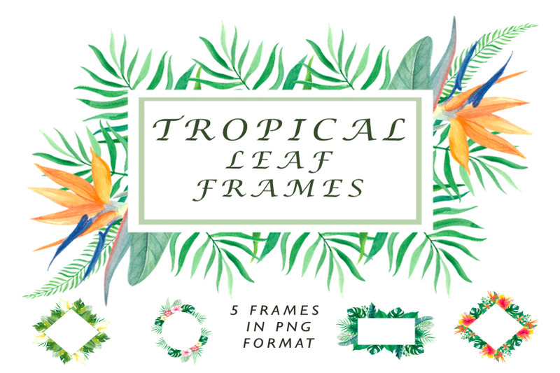 tropical-leaf-frames