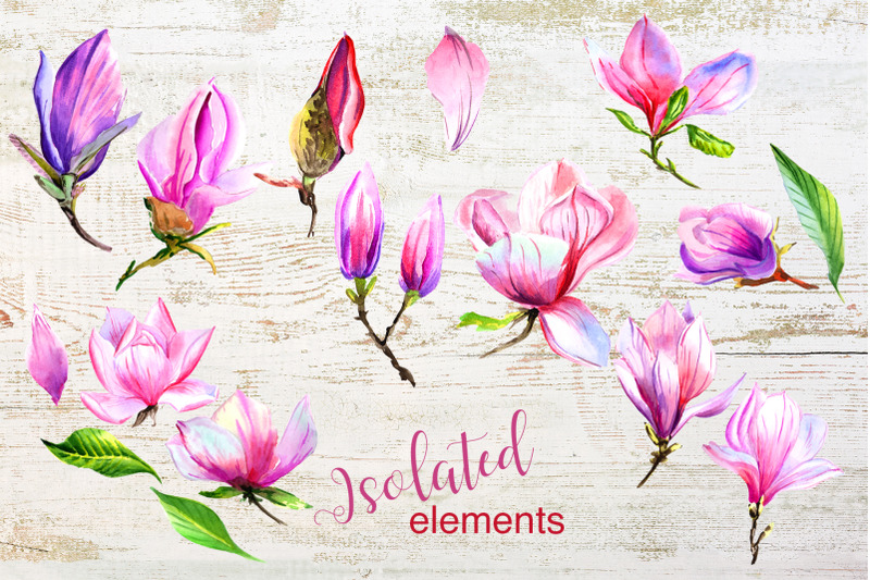 magnolia-watercolor-set-hand-painted-flowers-free-commercial-use-wa
