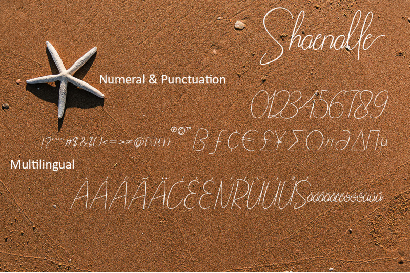 shaenalle-a-signature-font