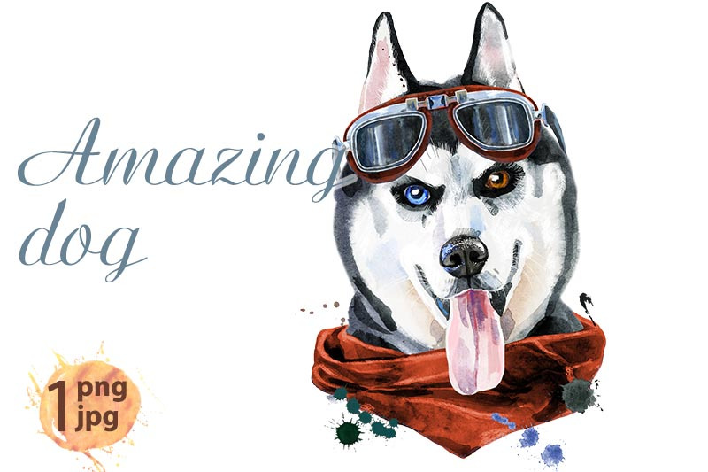 watercolor-portrait-of-husky-with-kerchief-and-glasses