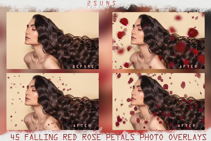 falling-rose-petals-photo-overlays-flower-overlay-photoshop-overlay