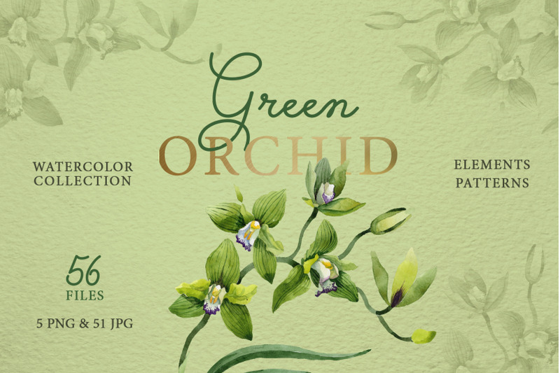 green-orchid-watercolor-clipart-digital-flowers-clipart-hand-painte