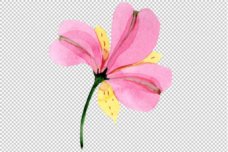 astrometry-pink-flower-watercolor-png