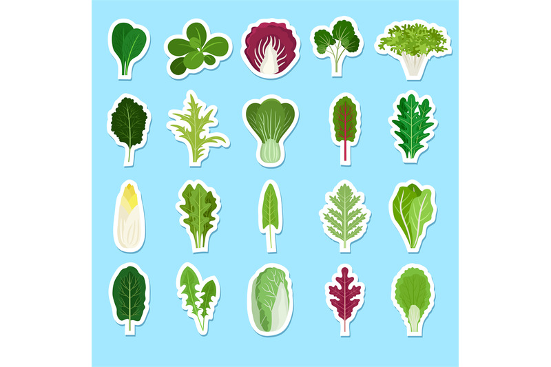 cartoon-green-salad-leaves-stickers