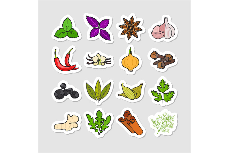 herbs-and-spices-vector-stickers