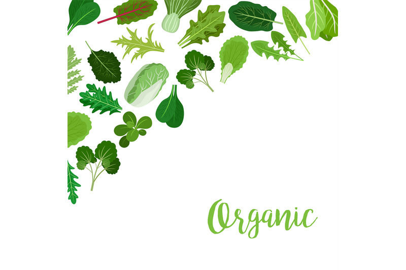 organic-banner-with-salad-leaves