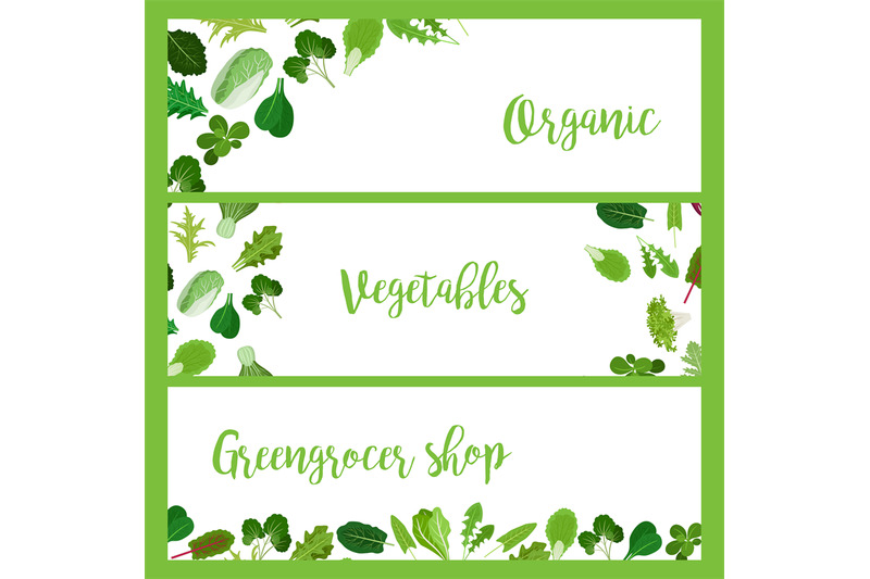 organic-horizontal-banners-with-salad-leaves