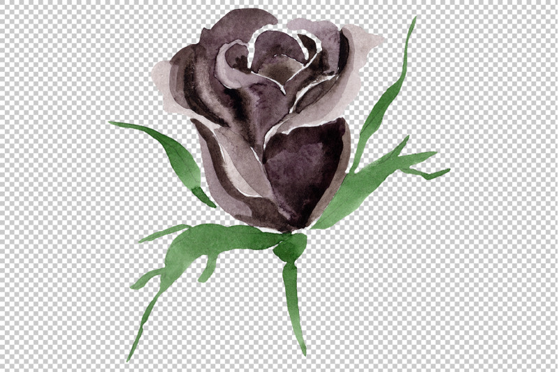 black-rose-flower-watercolor-png