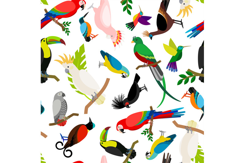 parrots-vector-pattern