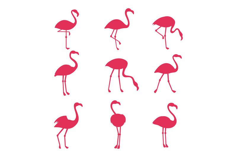 pink-flamingo-silhouetes-isolated-on-white-background