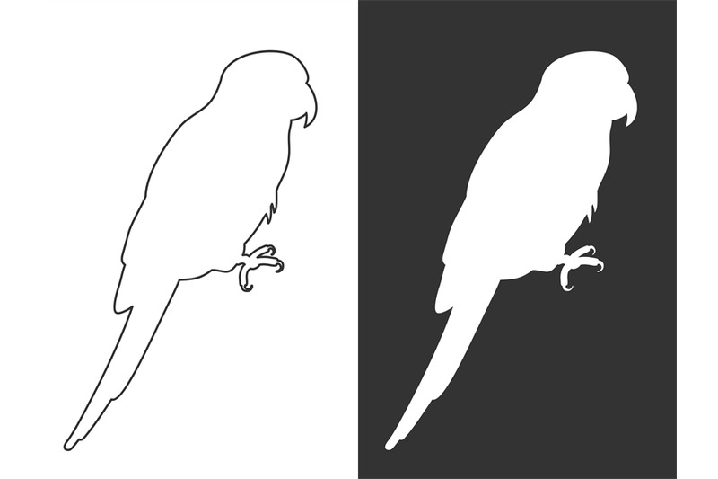 white-silhouette-and-line-parrots-vector