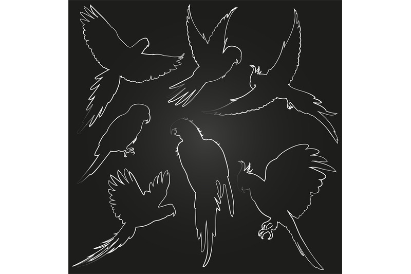 white-vector-parrots-jungle-birds-line-silhouettes