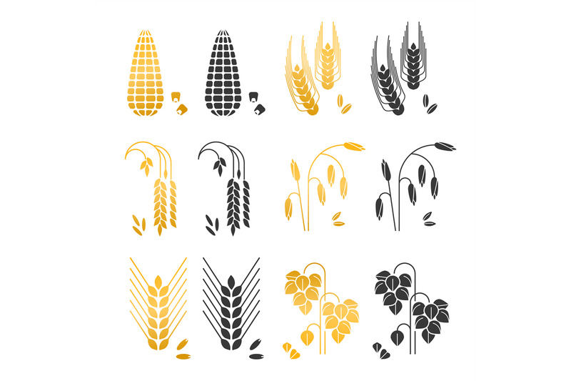 black-and-gold-cereal-grains-vector-icons-rice-wheat-corn-rye-bar
