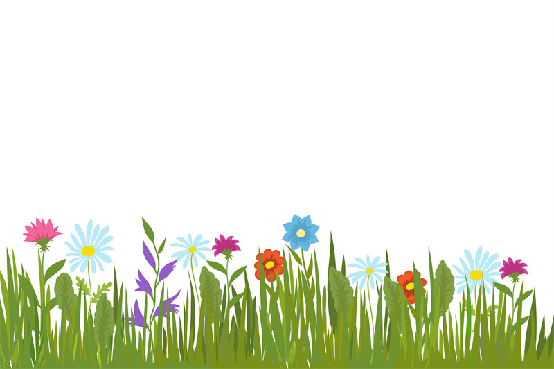 summer-green-grass-and-flowers-garden-plants-and-field-herbs-vector-b
