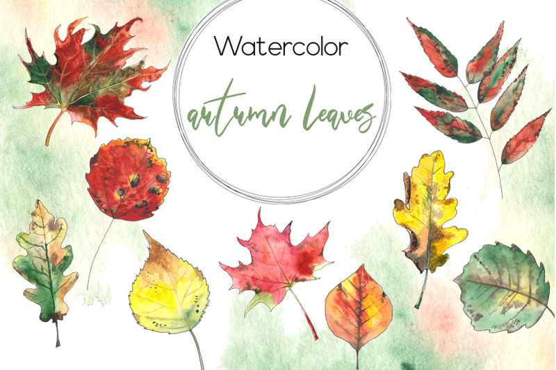 autumn-in-the-forest-watercolor-collection