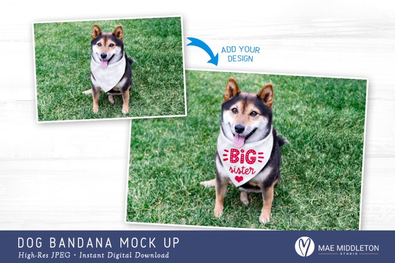 dog-bandana-mock-up-styled-photo