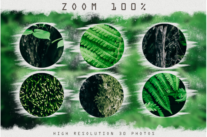 30-tropical-fern-overlay-floral-backdrop-tropical-background